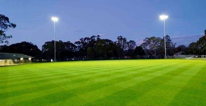a green soccer field at dusk with lights on