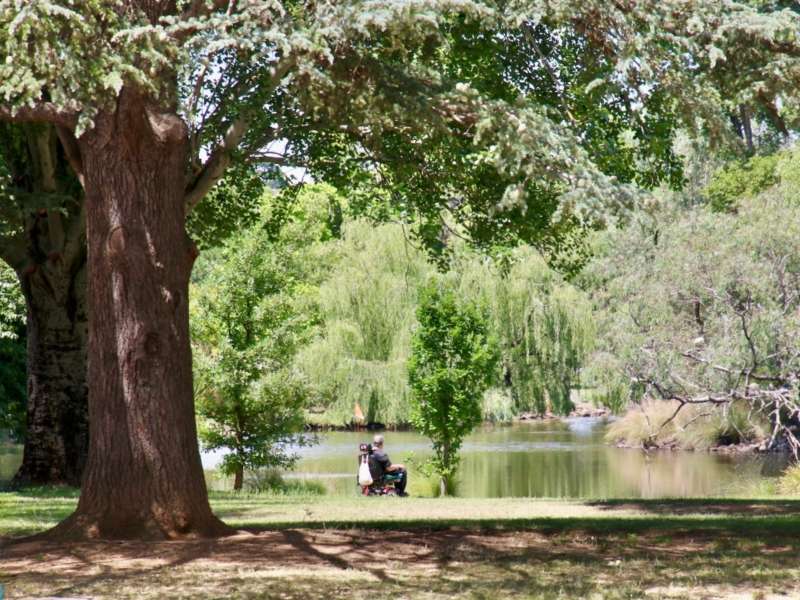 A picture with trees and greenery overlooking a lake which forms part of the Castlemaine Botanical Gardens Accessible Walk