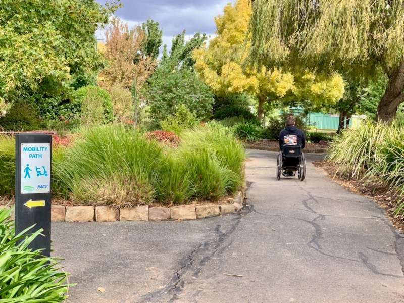 A person in a wheelchair navigates a winding path surrounded by greenery and colorful trees in a serene park setting.