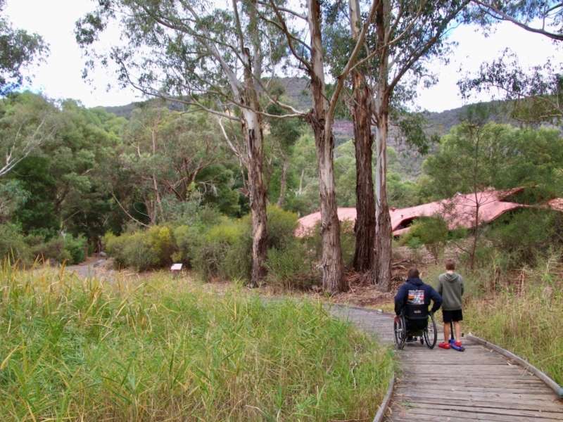 Two people walk along a wooden boardwalk through lush green grass and tall eucalyptus trees, with a distant view of a hillside.