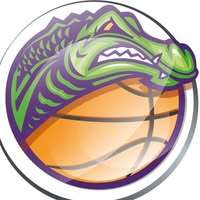 A green aligator on an orange basketball.