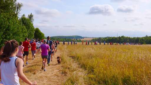 A large group of people jogging through a sunny, grassy field, accompanied by a small dog, with trees and hills in the background.