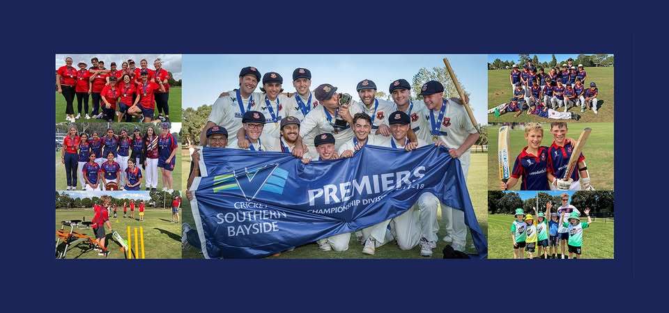 a collage of photos of people playing and celebrating cricket.