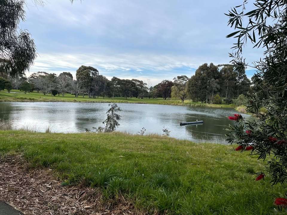 A green golf course surrounded by trees with a dam in the middle.