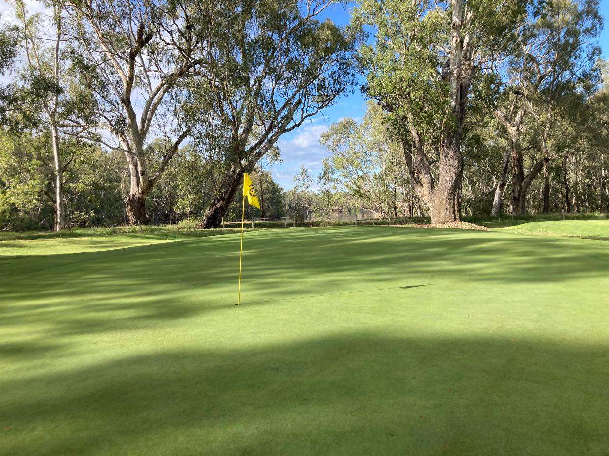 A green golf course with a flag with a river in the background surrounded by green trees.