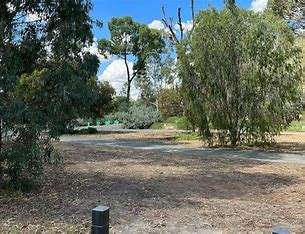 A tranquil park scene featuring tall trees, sparse shrubs, and a clear blue sky with fluffy clouds, inviting relaxation and nature appreciation.