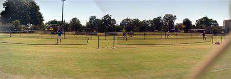 A panoramic view of a tennis practice area with several players training on well-maintained grass courts under clear blue skies.