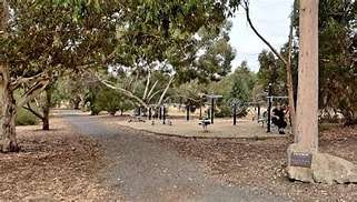 A fitness area with exercise equipment nestled among trees in a park, pathway leading to it, showcasing a peaceful outdoor workout space.