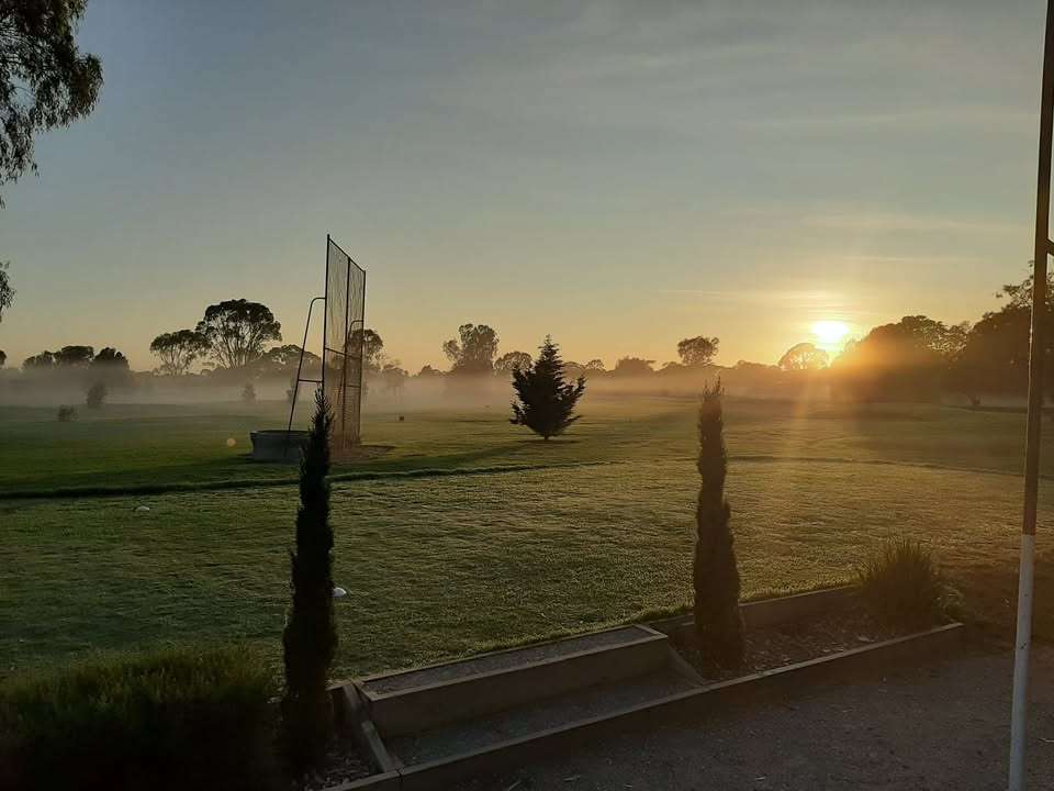 A green golf course with net surrounded by trees and low fog.