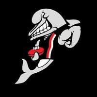 a snarling dolphin hand balling a footy on a black background.