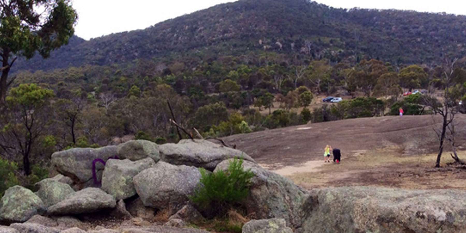 Image of rocks in the foreground and trees and a mountain in the background