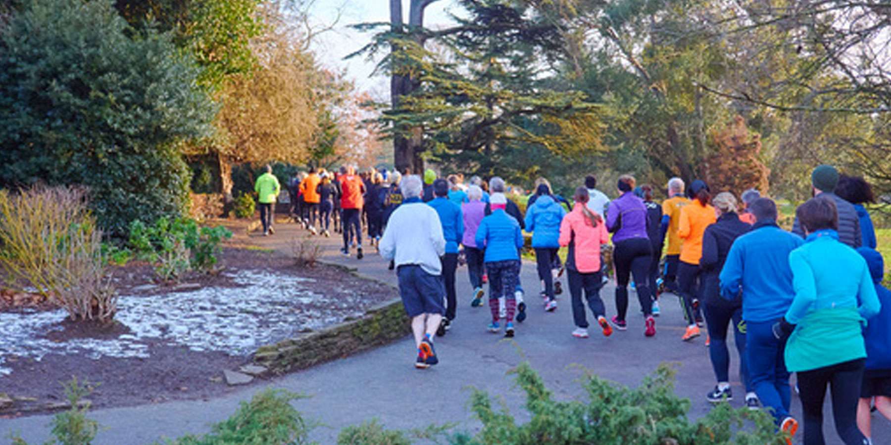 Image taken from behind a group of people running on a footpath surrounded by trees