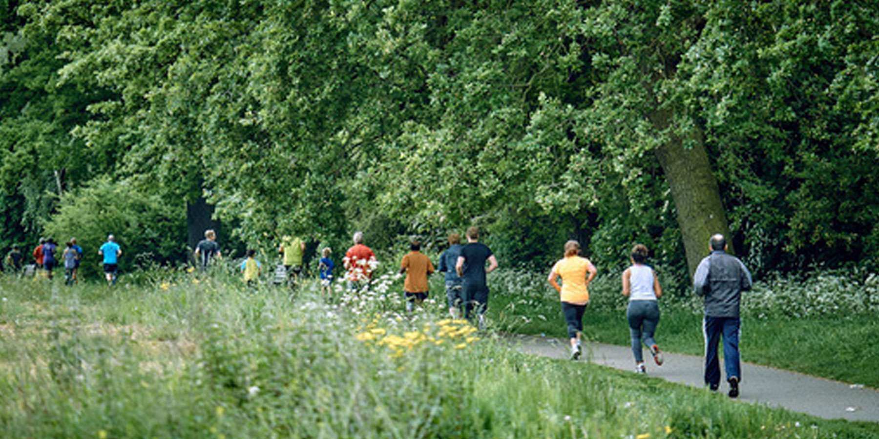 Image taken from behind a group of people running on a footpath surrounded by trees