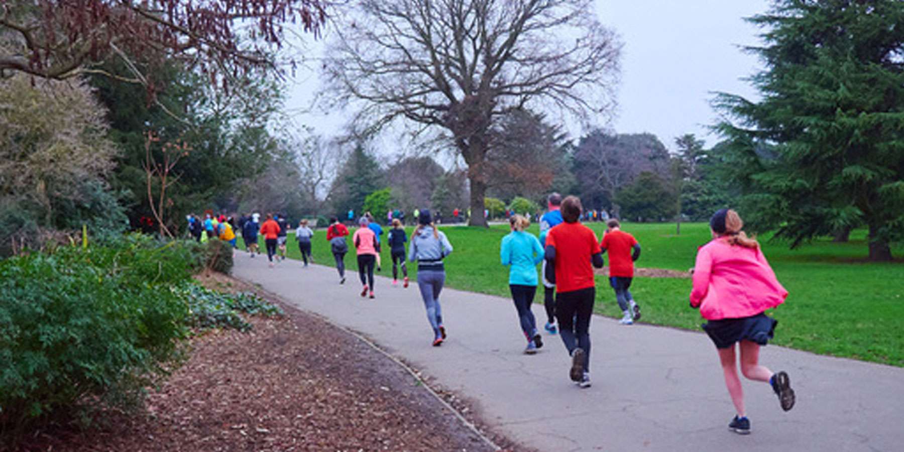 Image taken from behind a group of people running on a footpath surrounded by trees and geen space