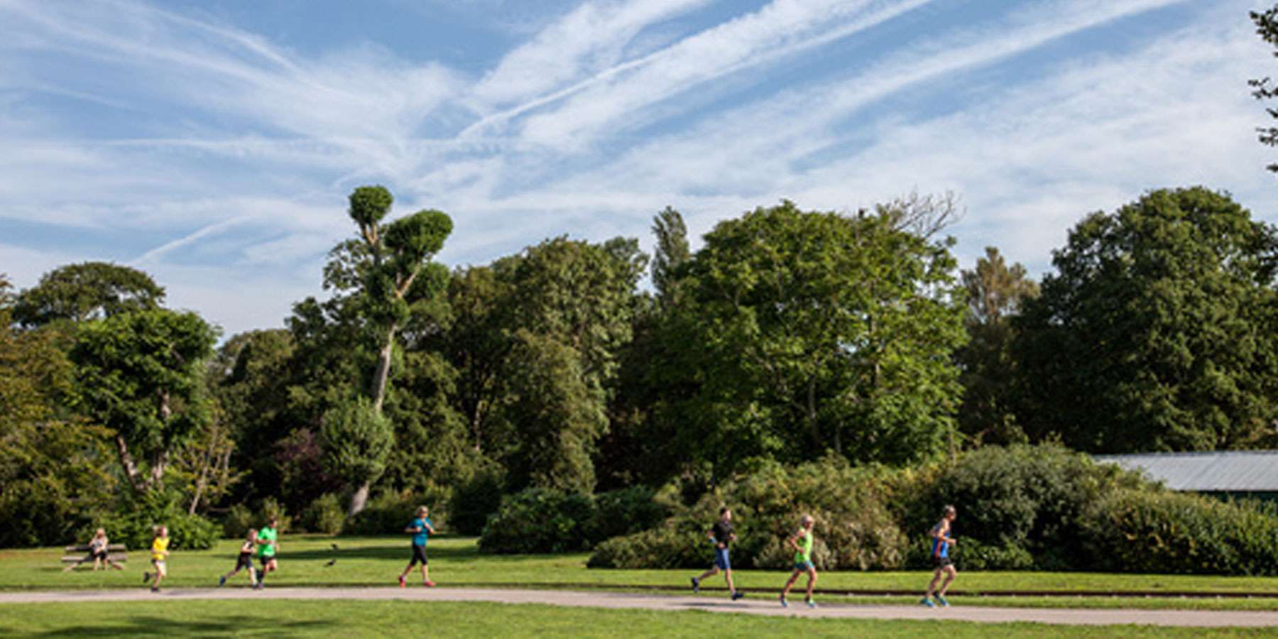 Open space with trees and people running in the distance