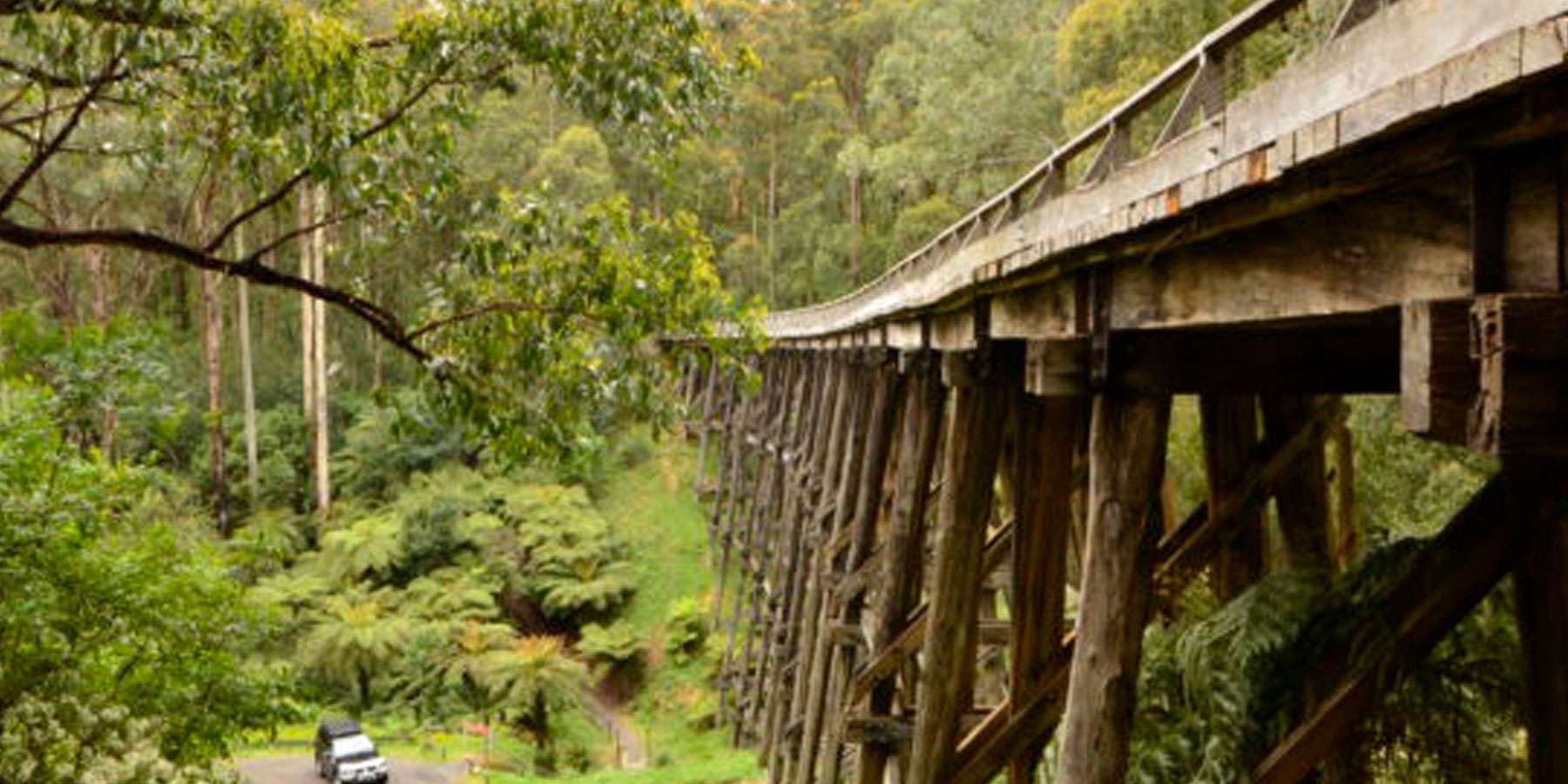Image of Noojee Trestle Bridge