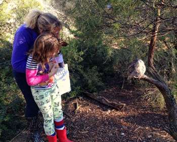 Woman and a child in an embrace looking at a bird on a tree