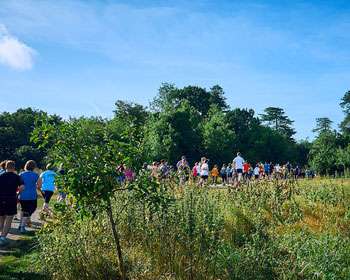 Image of bushland with a group of people running through it