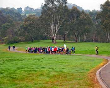 Green open space with trees in the background and a group of people running along a path