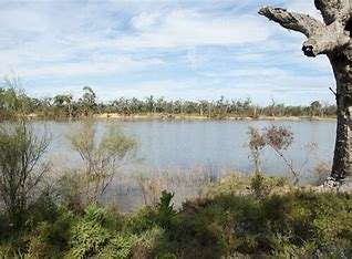 Tranquil river scene with lush vegetation and a weathered tree trunk, reflecting a peaceful, natural landscape under a blue sky.