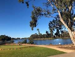 A serene river scene with lush green grass, towering trees, and a clear blue sky reflecting on calm water.