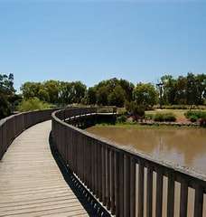 Curved wooden boardwalk along a tranquil pond, surrounded by lush greenery under a clear blue sky.