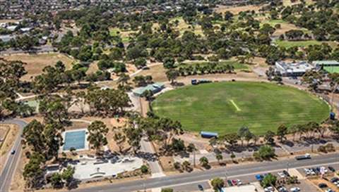 Aerial view of a green cricket field surrounded by trees, a skate park, and nearby buildings in a suburban area.