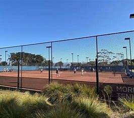 Image of the Mornington Tennis Courts, blue sky in the background, black fence, tennis players on the courts in the distance and grass shrubs lining the fence