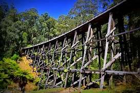 Curved wooden trestle bridge surrounded by lush green trees under a bright blue sky.