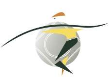 A white bowling ball with green and yellow shape of a person.