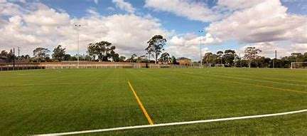 Image displays a green recreation reserve used for sporting and recreation activities. The sky is blue and there are green trees in the background.