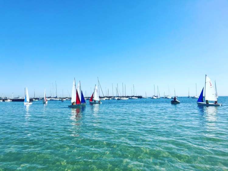 Sailboats with colorful sails dot a clear blue sea under a bright sky, with a distant marina visible in the background.