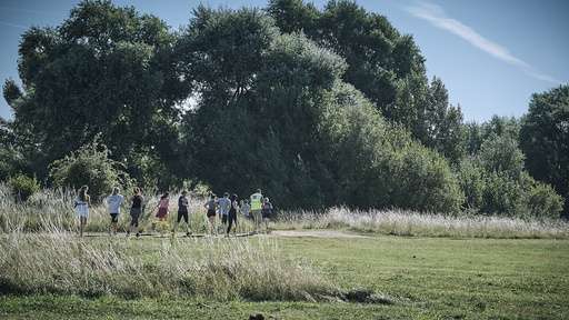 A group of people jogs along a path in a lush park, surrounded by tall grass and trees under a clear blue sky.