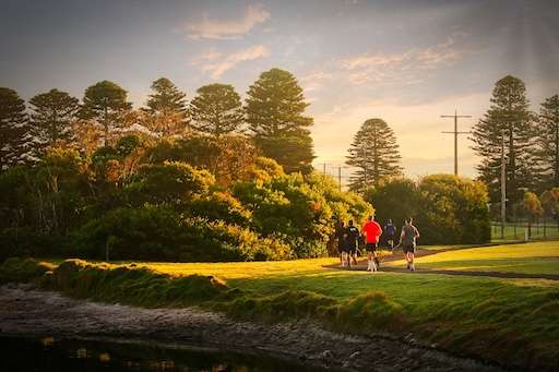 A group of people walking with dogs along a lush path by a calm waterway, framed by trees under a soft sunset sky.