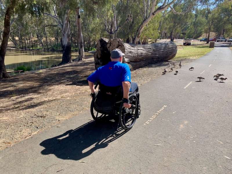 A man wearing a blue t shirt and a green cap, in a wheelchair on a path. There are ducks and birds crossing in front of him and a lake to the left