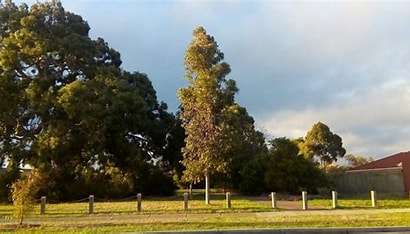 Image displays a green recreation reserve used for sporting and recreation activities. The sky is blue and there are green trees in the background.