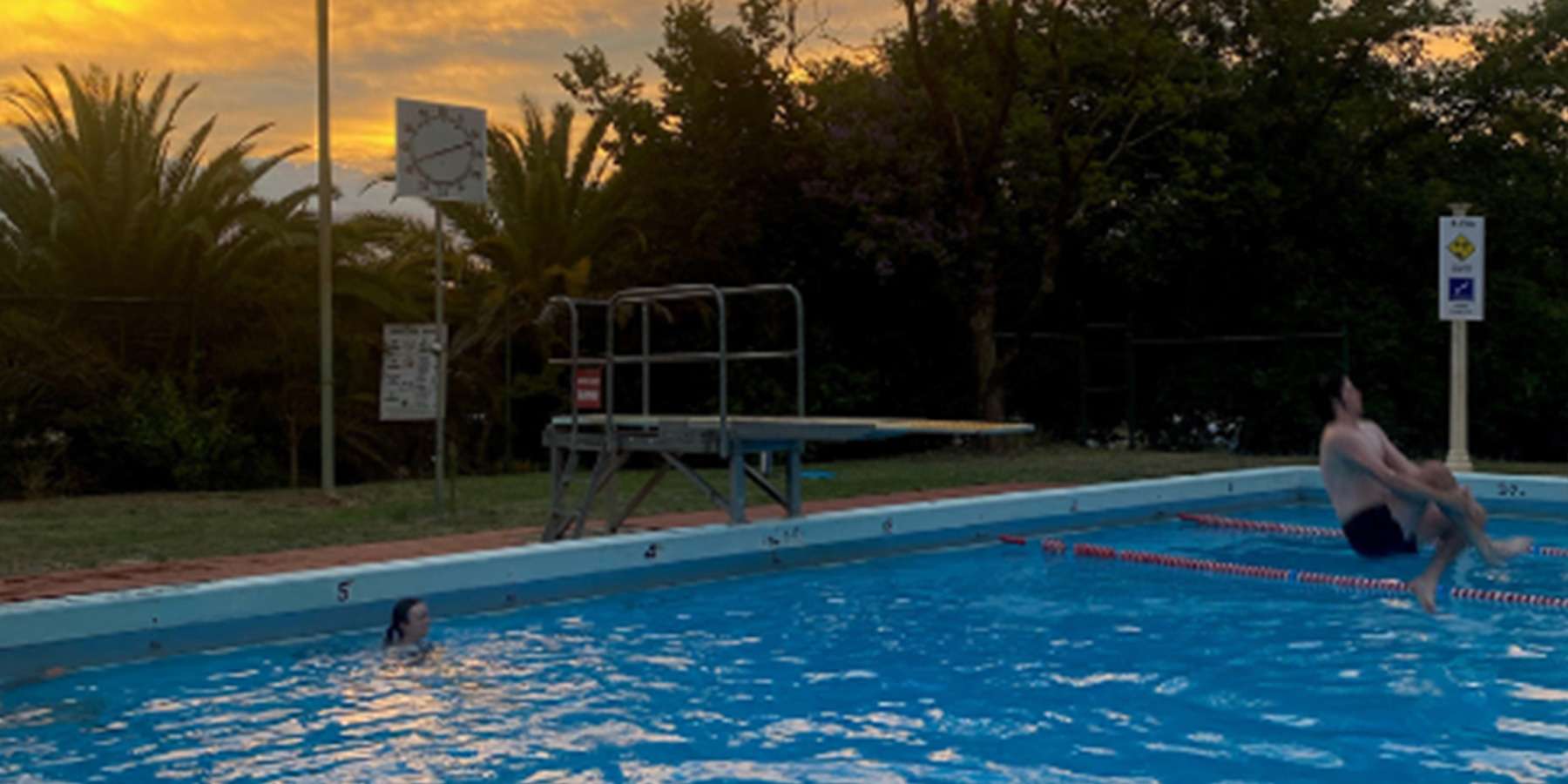 A swimmer dives into a pool during sunset, with palm trees and a diving board visible in the background.