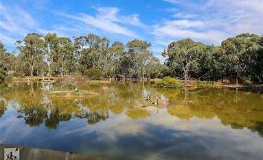A serene natural scene featuring a calm pond surrounded by lush trees and blue skies, reflecting the landscape's beauty.