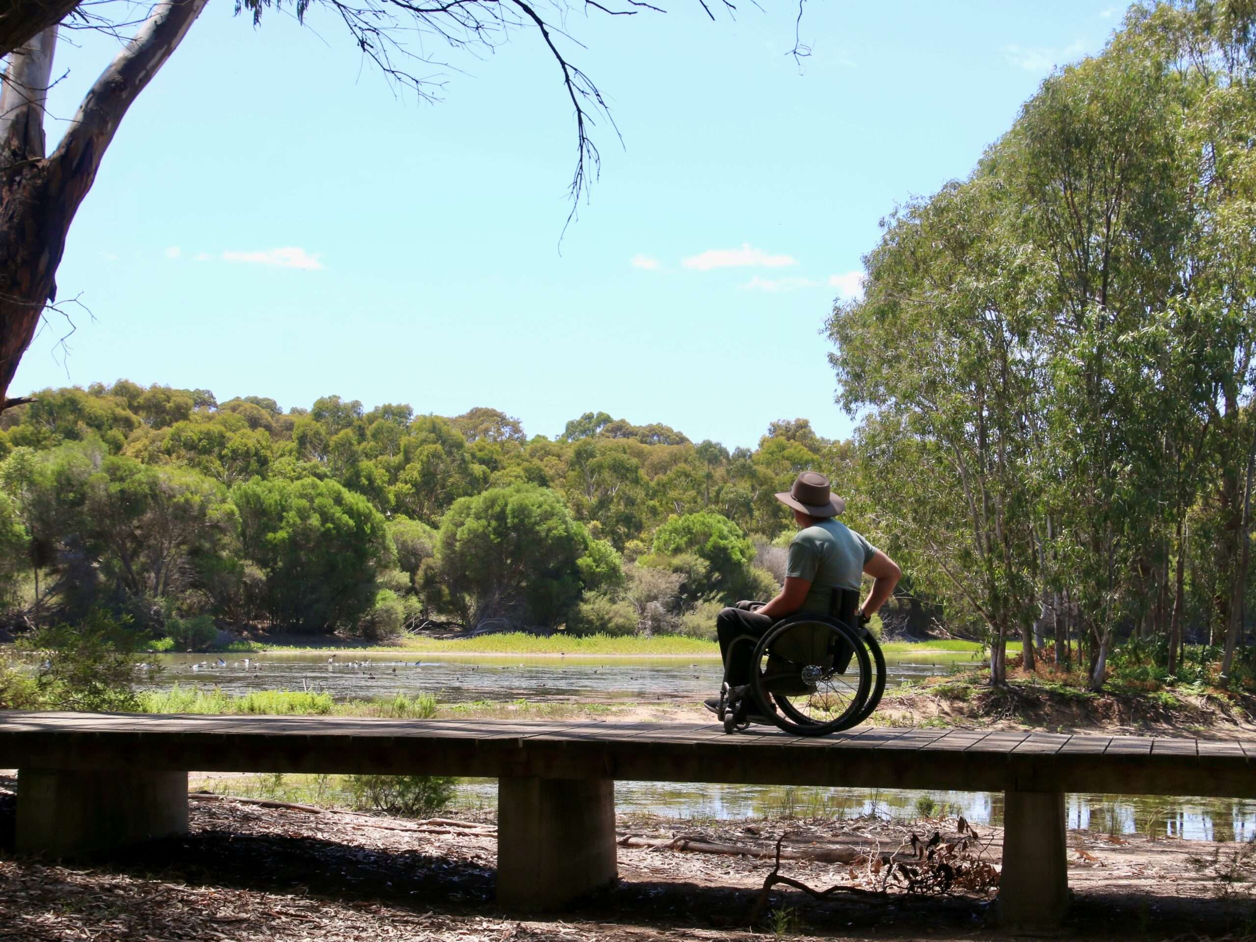 A picture depicting a wheelchair user on a bridge on the serendip sanctuary walk