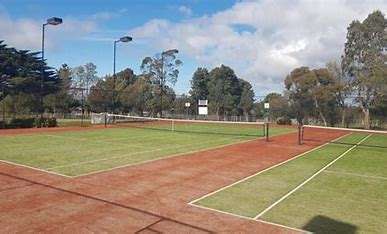 Image displays South Gisborne Tennis courts, courts have a green turf colour, and in the background you can see trees and a blue sky with white clouds.