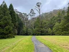 A serene path winds through lush green grass, bordered by tall trees under a cloudy sky.