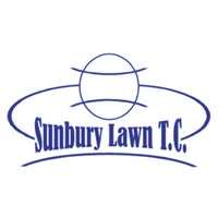 Blue text on white background with tennis ball shape drawing.