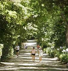 People walking and jogging along a shaded tree-lined path in a lush, green park on a sunny day.