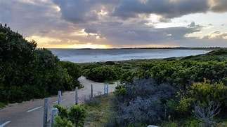 A scenic coastal path leads through lush greenery towards a tranquil ocean at sunset, with dramatic clouds overhead.