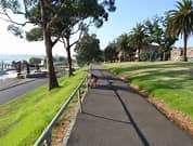 A paved pathway lined with trees and palm trees, leading along a waterfront, with sunlight casting shadows on the ground.