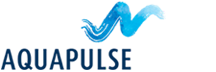 Logo of an ice-themed brand featuring stylized blue snowflakes above the word "IceBurst" in a modern font.