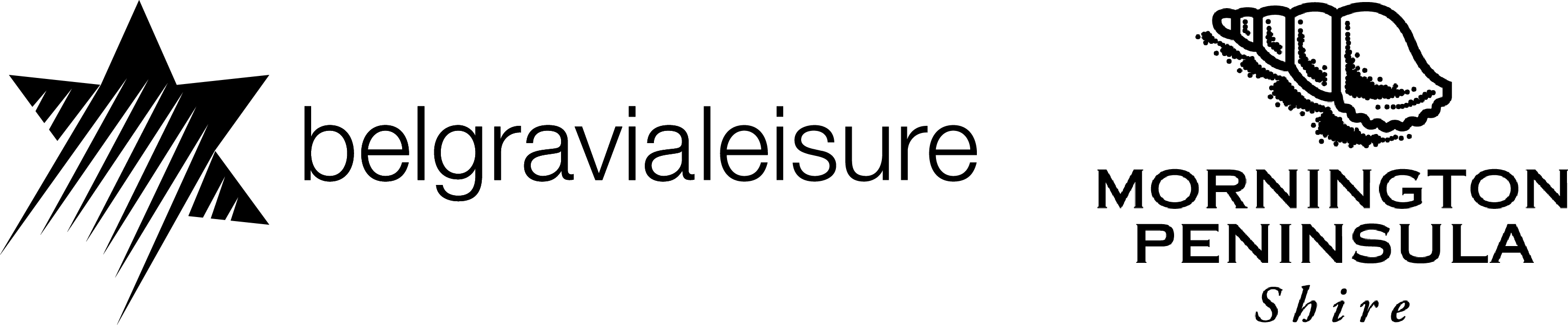 A minimalist black logo with a star and a shell