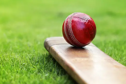 A red cricket ball rests on a wooden bat, set on a vibrant green grassy field, capturing the essence of the sport.