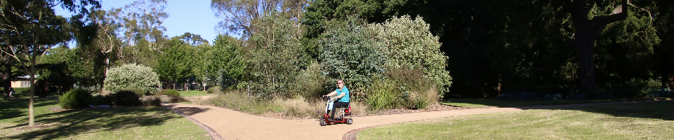 A person in a blue shirt rides a mobility scooter along a winding path in a lush, green park surrounded by trees and shrubs.