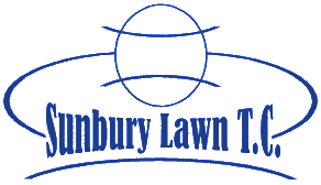 Blue text and an outline of a tennis ball in blue on white background.